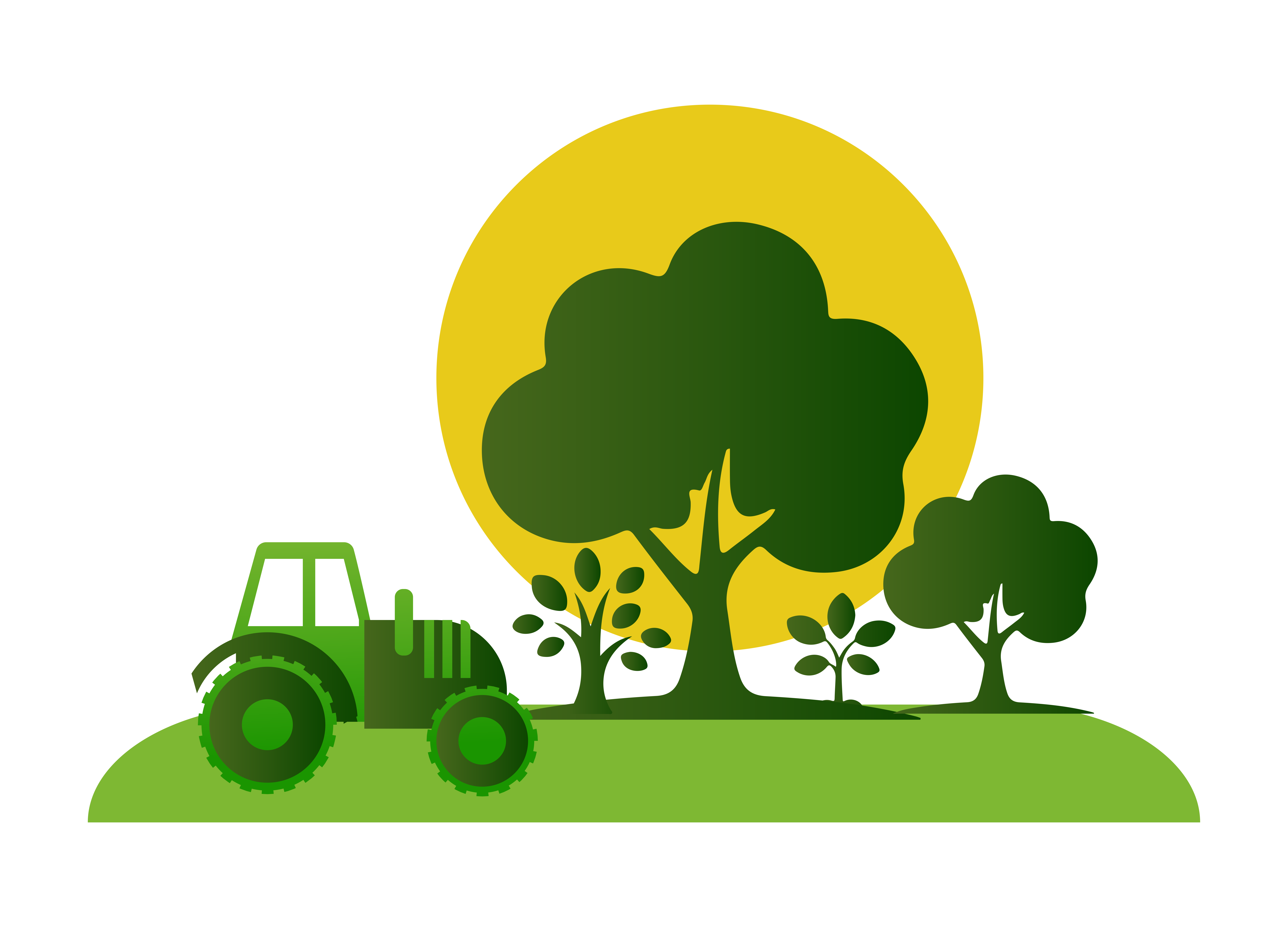 Managed Farmland