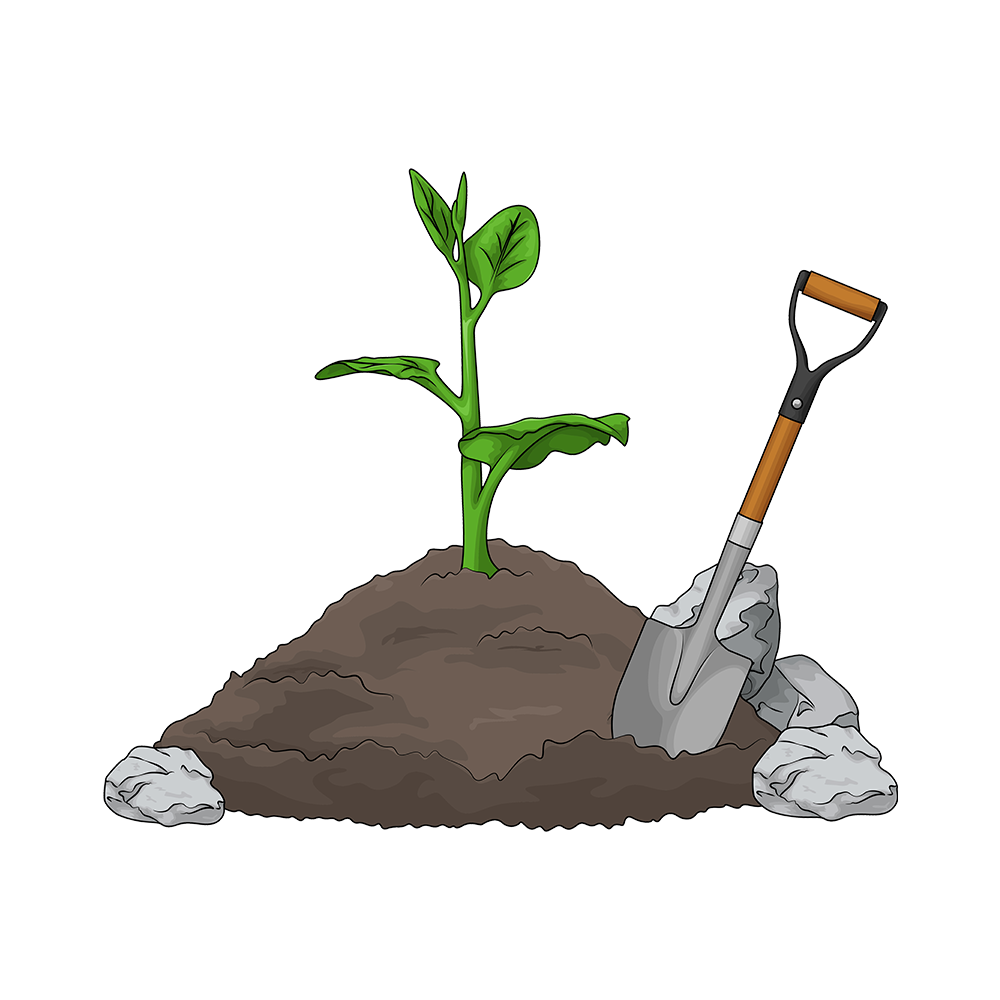 Manure & Fertilizers