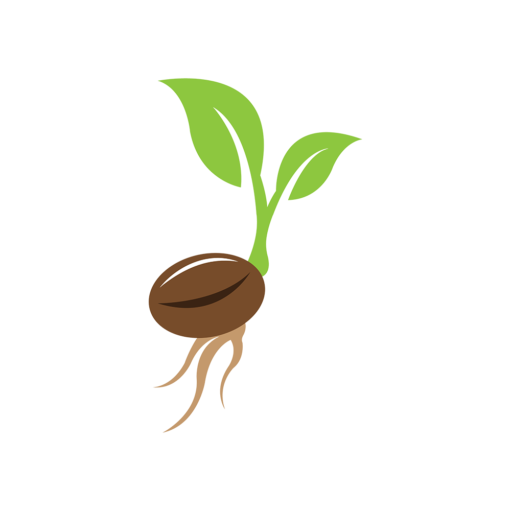 Seeds and Saplings