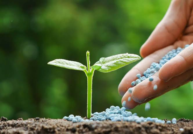 Manure & Fertilizers