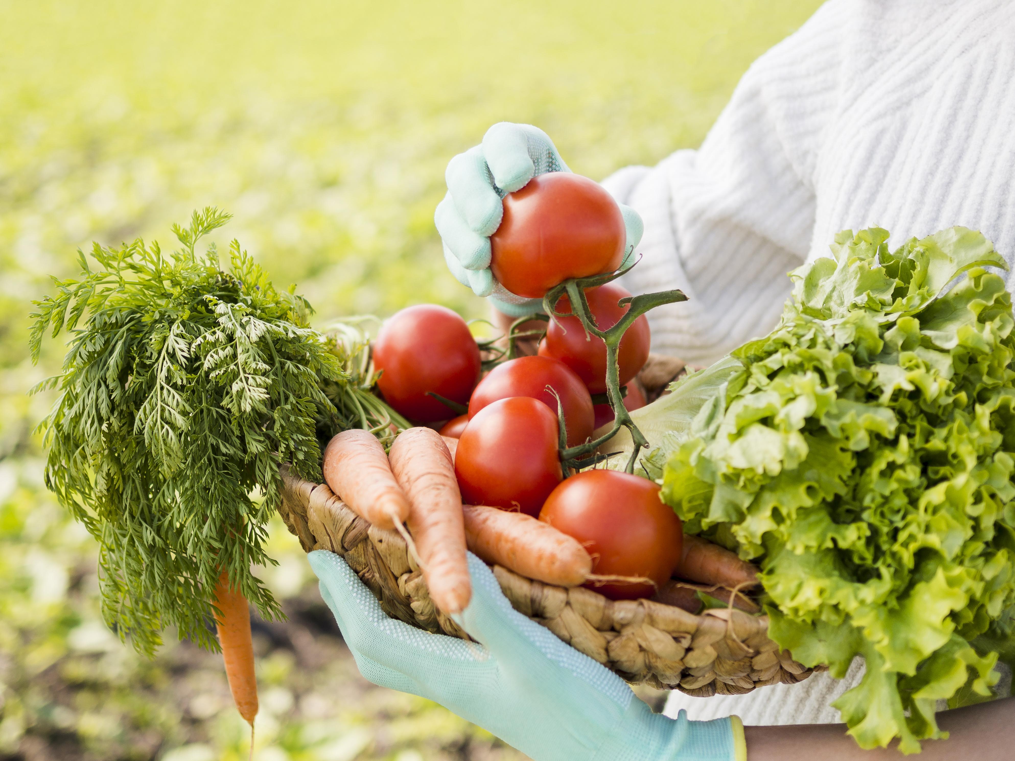 Farm Produce